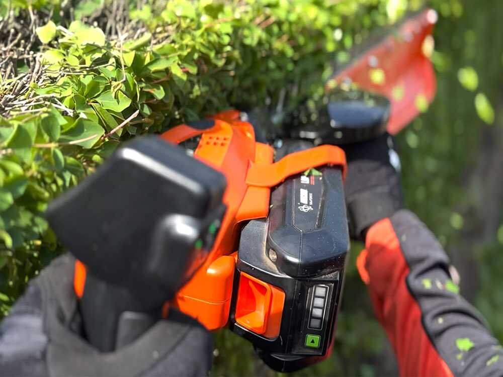 Motore Brushless Echo